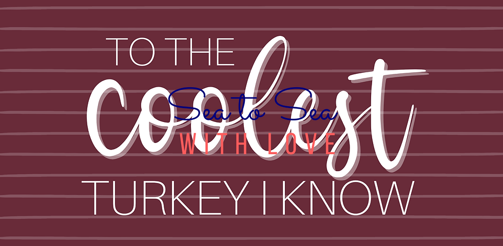 Thumbnail: Coolest Turkey Thanksgiving Care Package Sticker Kit