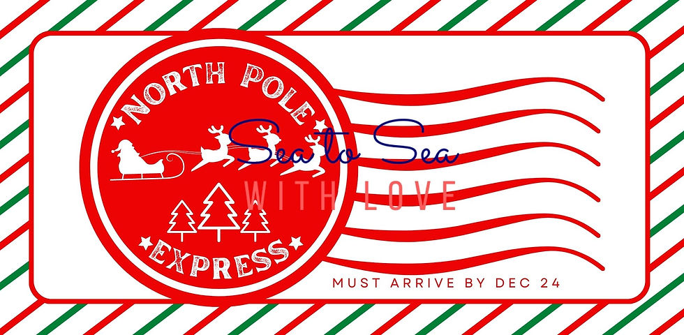 Thumbnail: Christmas North Pole Sante Special Delivery Care Package Sticker Kit