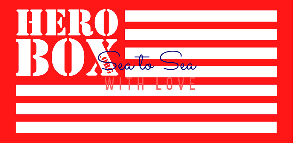 Thumbnail: 4th of July Patriotic Care Package Sticker Kit