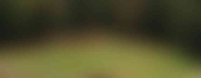 McLemore, golf course, mountain golf, bill bergin, rees jones, infinity green, cliffside, Lookout Mountain, Chattanooga