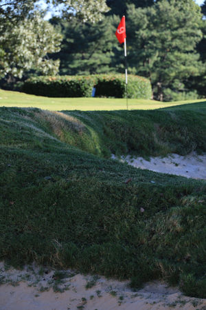 Johnson City Country Club, AW Tillinghast, Mike Young, Golf Course, Tennessee, renovation