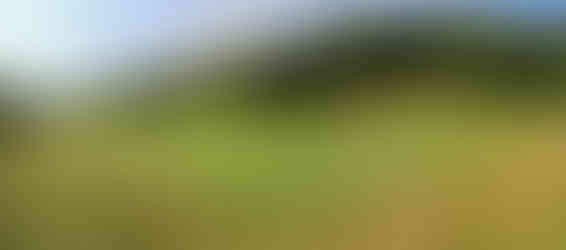 Stonewall Resort, Arnold Palmer, Stonewall Jackson Lake, West Virginia, WV, State Park, Golf Course, Resort