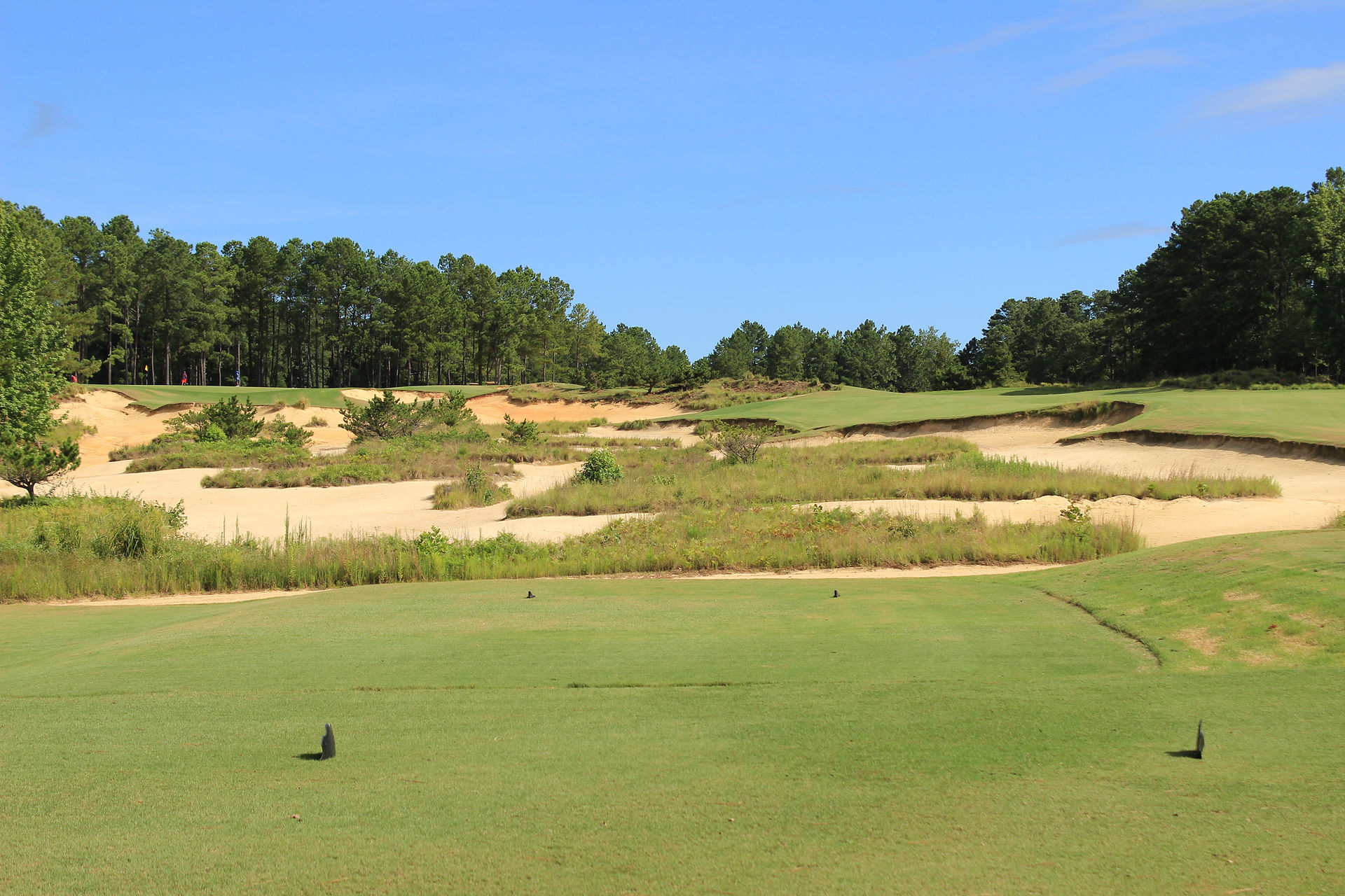Tobacco Road Golf Club Sanford Pinehurst NC Mike Strantz Top 100