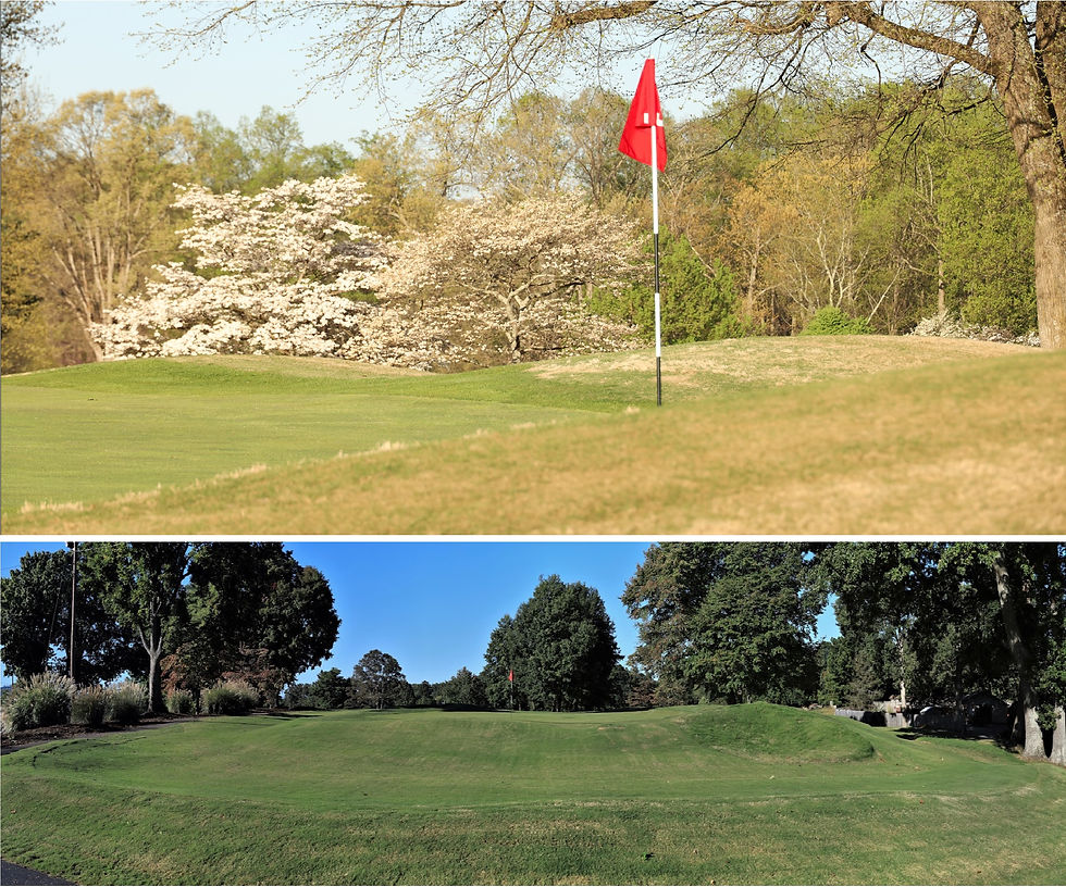 Johnson City Country Club, AW Tillinghast, Mike Young, Golf Course, Tennessee, renovation