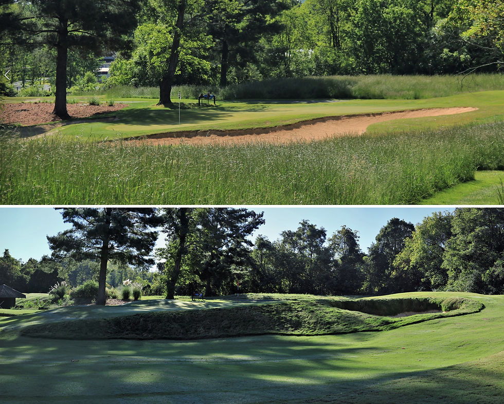 Johnson City Country Club, AW Tillinghast, Mike Young, Golf Course, Tennessee, renovation