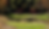 Diamond Creek, Tom Fazio, Par 3, golf course