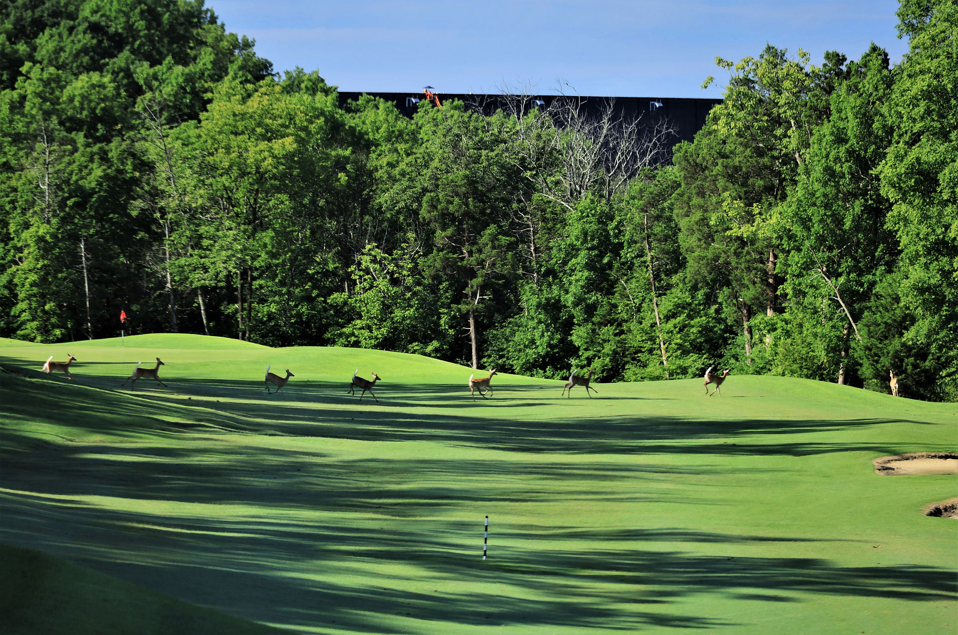 Kentucky, Bourbon Trail, Golf Trip, My Old Kentucky Home