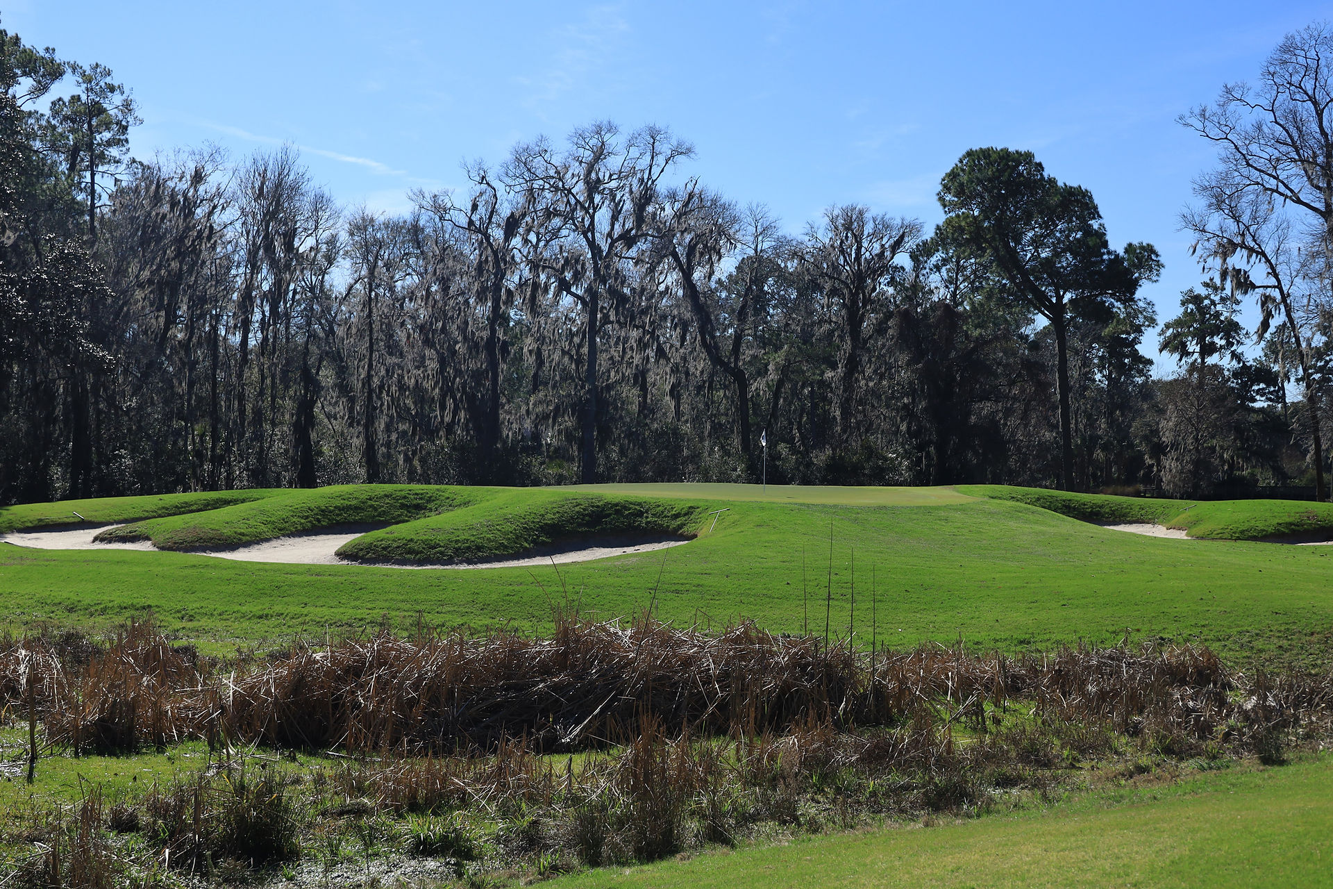 Haig Point, Golf, Hilton Head, Island, Rees Jones