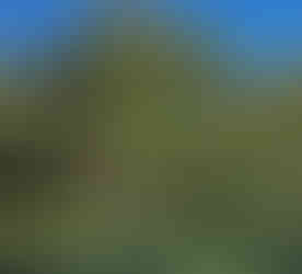 Lynch Country Club, Par 3, Golf Course, KY, Harlan County, Kentucky, Coal, Hidden Gem