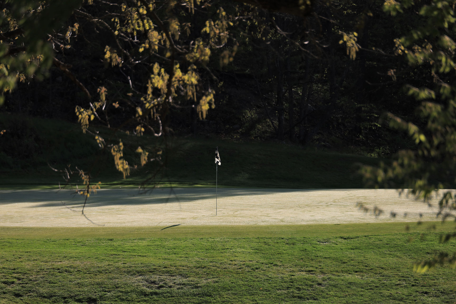 Boston, George Wright, Golf Course, public, Donald Ross, Massachusetts, MA, Muni