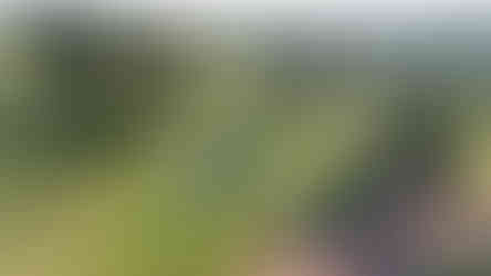 Country Club of Spartanburg, Kris Spence, Donald Ross, Golf, Upstate, SC