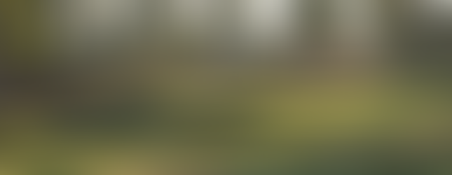 Hooper Golf Course, Walpole, NH, New Hampshire, Styles and Van Kleek, Stein Golf Design, 9 holes, nine holes, Watkins Tavern