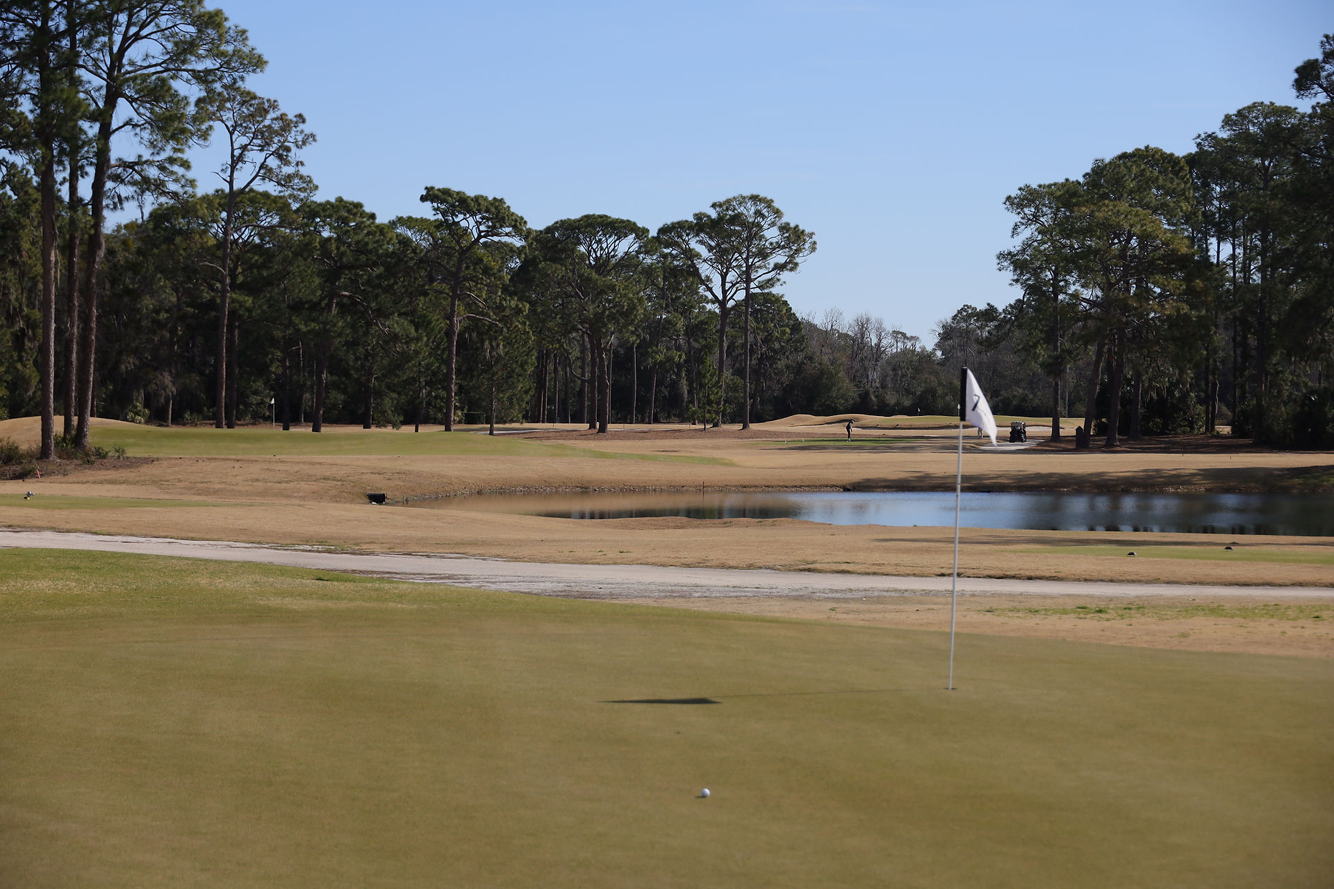 Brunswick, Country Club, Donald Ross, Davis Love III, Love Golf Design, Georgia, Golden Isles