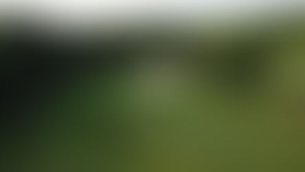 Tot Hill Farm, Mike Strantz, Golf Trip, Iron Maverick, Golf Architecture, golf crusade