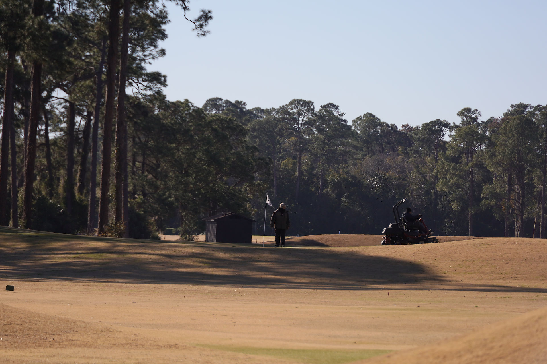 Brunswick, Country Club, Donald Ross, Davis Love III, Love Golf Design, Georgia, Golden Isles