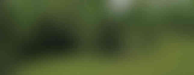 Golf Course, short course, Williams Creek, alternative golf, Par 3, junior golf, youth golf, The First Tee, Knoxville, Tennessee