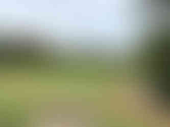 McLemore, golf course, mountain golf, bill bergin, rees jones, infinity green, cliffside, Lookout Mountain, Chattanooga, Cairn