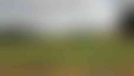 McLemore, golf course, mountain golf, bill bergin, rees jones, infinity green, cliffside, Lookout Mountain, Chattanooga