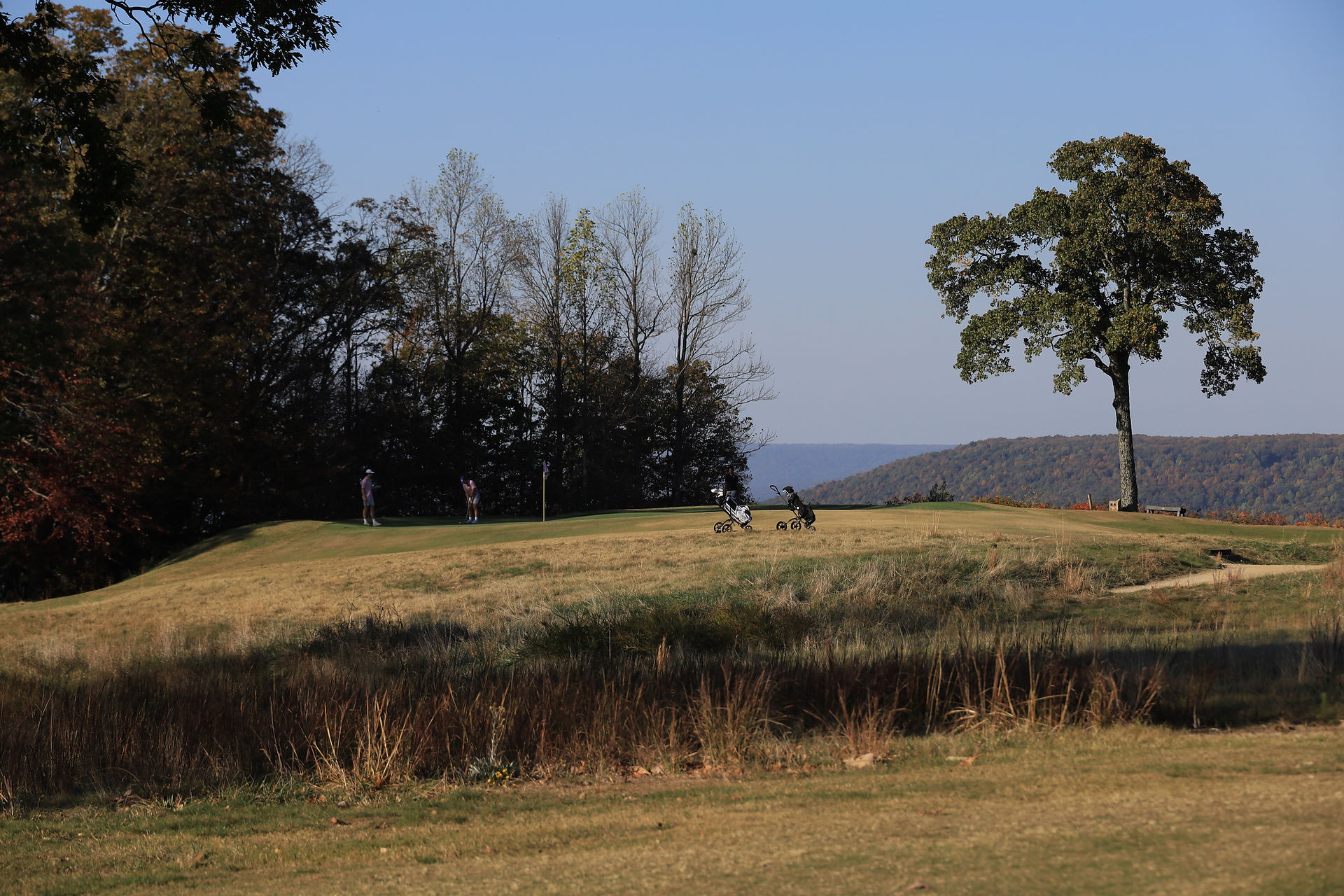 The Course at Sewanee, Gil Hanse, University of The South, TN, College golf