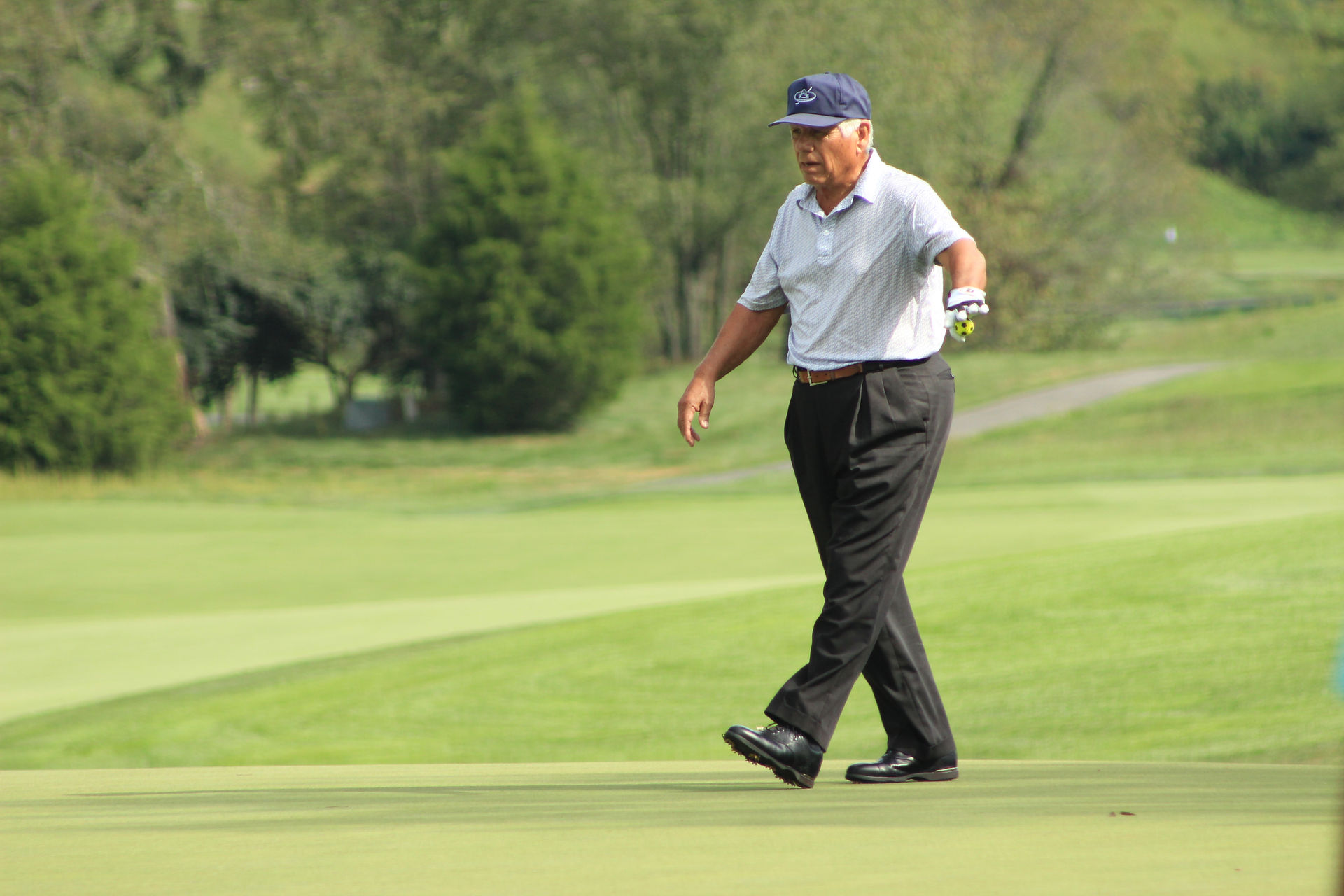 Lee Trevino The Olde Farm Golf Club Bristol Virginia VA  PGA Tour American Legends