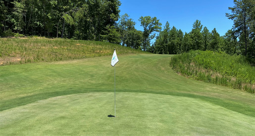 The Patch, The Preserve at Oak Ridge, Bill Bergin, Short Course, Par 3, Tennessee, Golf Course