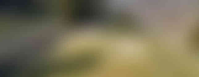 Kenmure, Country Club, Flat Rock, NC, Golf Course, WNC, western NC