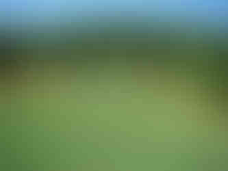 Stonewall Resort, Arnold Palmer, Stonewall Jackson Lake, West Virginia, WV, State Park, Golf Course, Resort