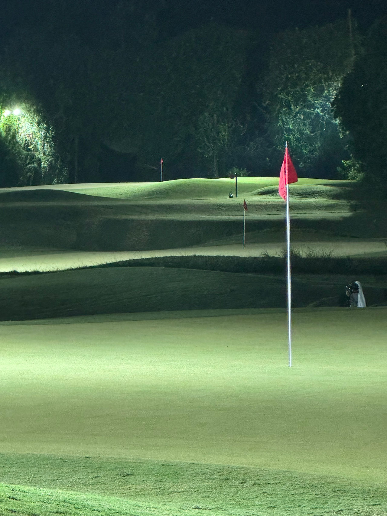 3's Greenville, par 3 course, night golf, pete dye alice day