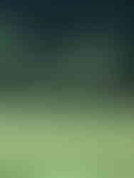 3's Greenville, par 3 course, night golf, pete dye alice day
