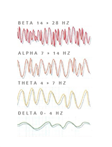Ondas Cerebrais.png