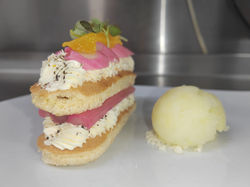 Rhubarb and Orange tiramisu