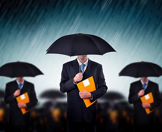 Soluciones a la medida de tus necesidades