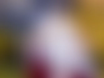 Marché De Noël 2016