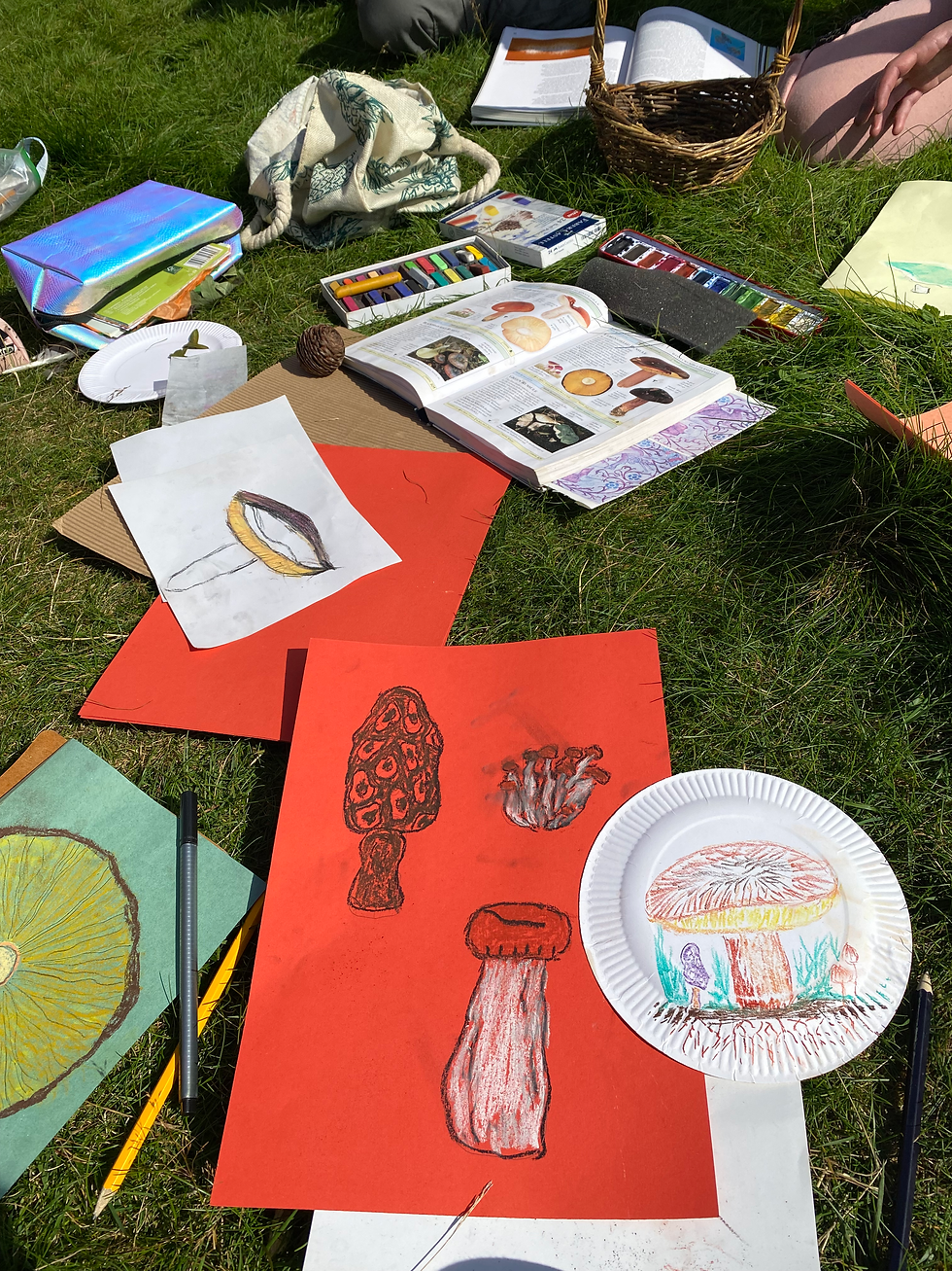 Collective drawings