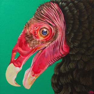 Side profile portrait of a Turkey Vulture on a bright green background.