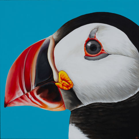 Puffin portrait acrylic painting