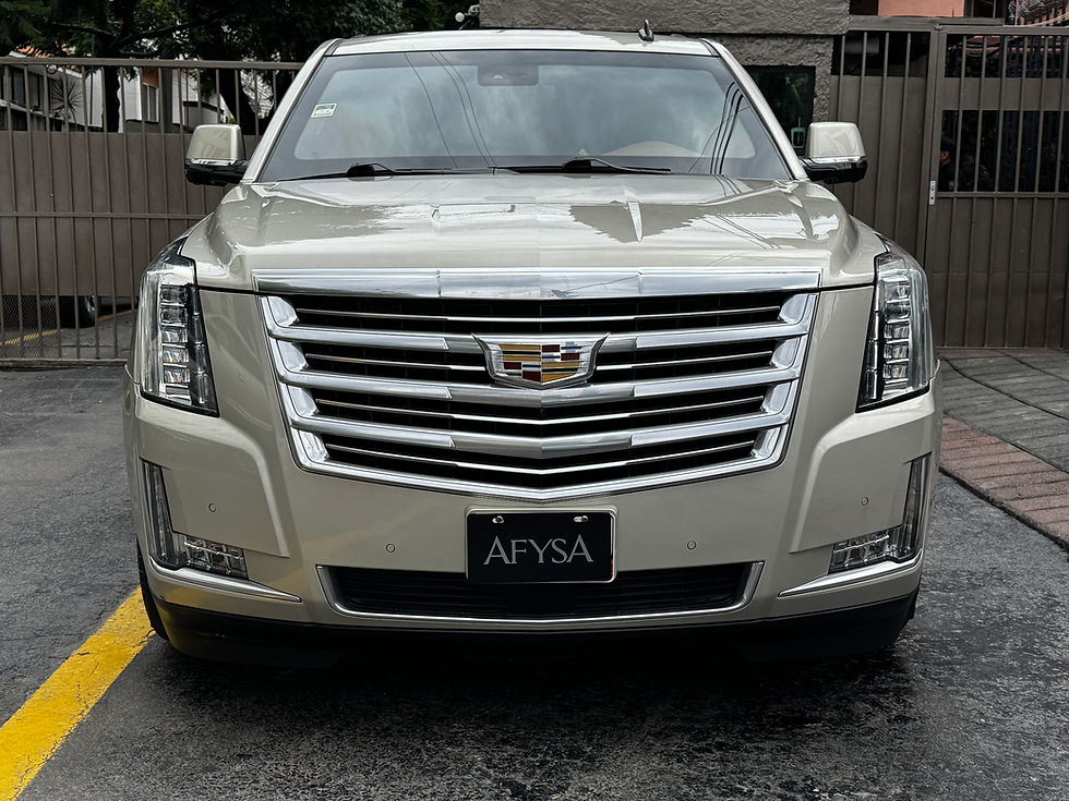 02_Escalade 2017 Platinum Arena N3
