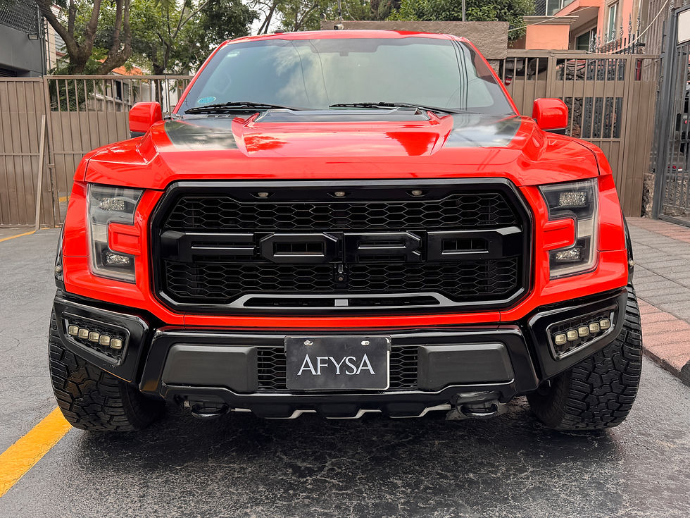 02_Lobo Raptor 2018 Rojo N3