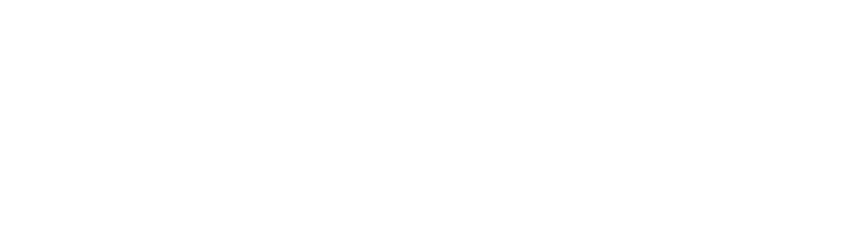 Logo | Elizabeth Aleman Photography