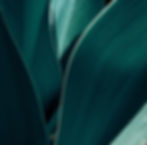 Image - 2026-01-07T150250.904.jpg