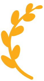 A gold award badge with a laurel wreath