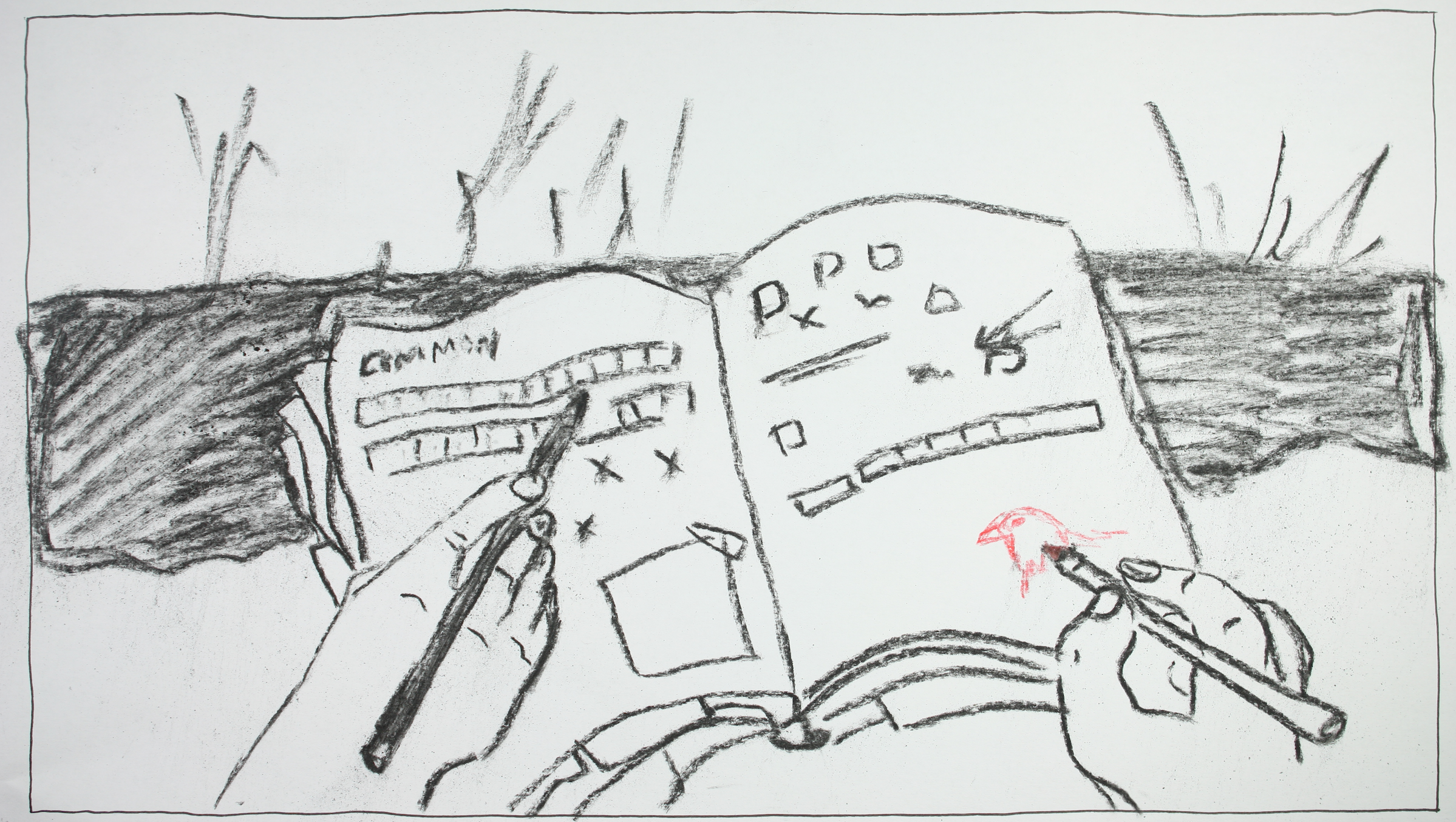 Birdwatching Animatic