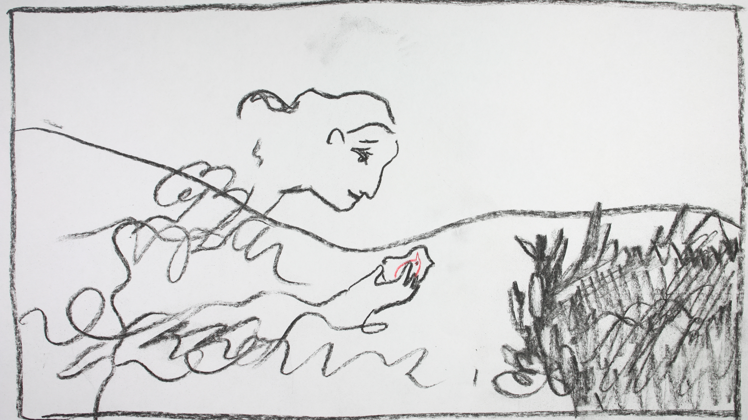 Birdwatching Animatic