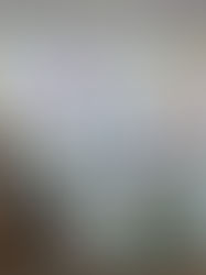 Hoje é dia de recordar para agradecer