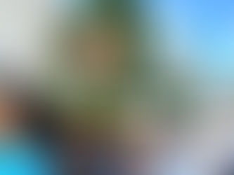 Inspirados pelo seu Imaculado Coração, aprendamos a amar como Maria