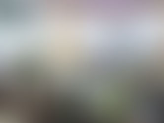 É tempo de arrumar a "casa"