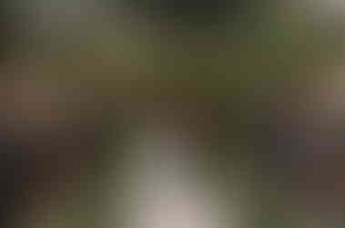 Bride walking down the aisle linking arms with her mom.