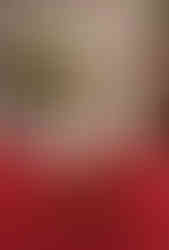 One-tier white wedding cake with red flowers and dripping chocolate sauce.