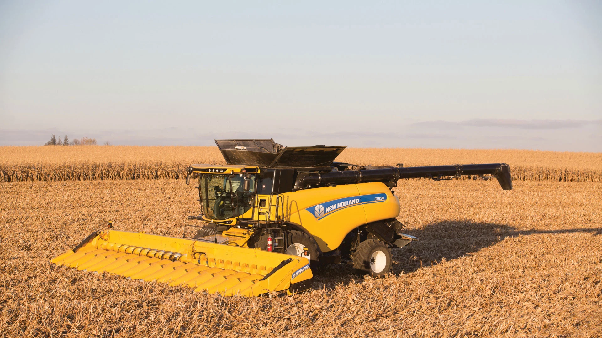 corn-heads-gallery-07.webp