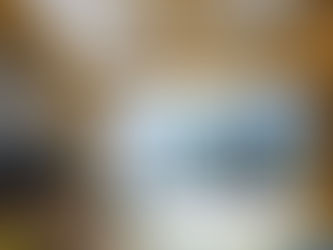 haus-walk キャットウォーク